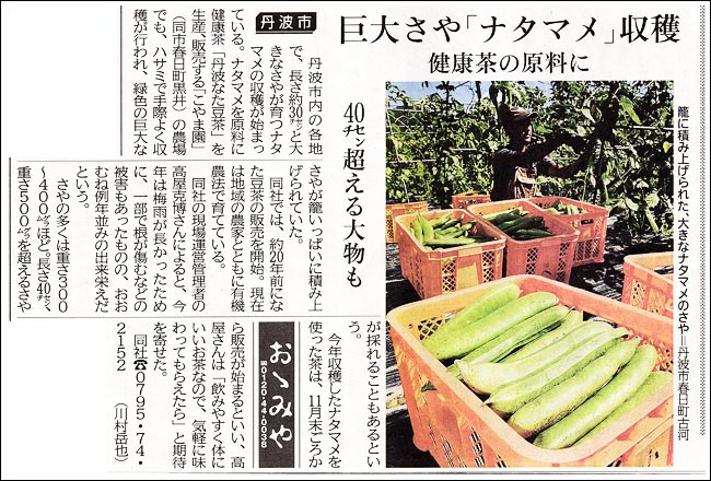 神戸新聞掲載（丹波ナタマメ収穫）